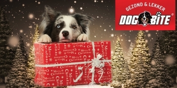 Kerstdozen DB Kerstdozen DB