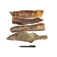 Kophuid BlackAngus