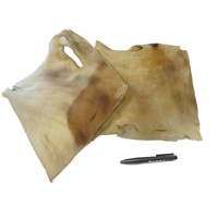 KH plaat Blonde XL