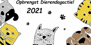dierendagactie-2021kl dierendagactie-2021kl