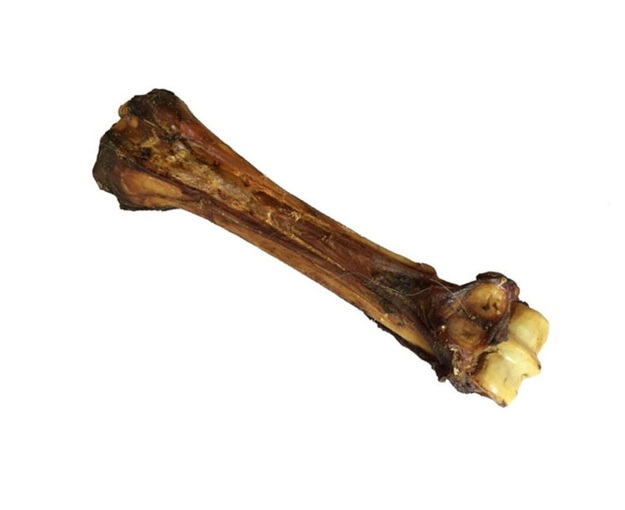 Paardenbot