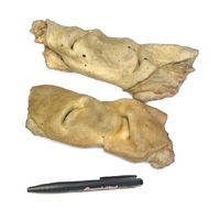 runderneus wit