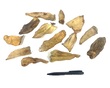 lamsoor flapjes_DB1