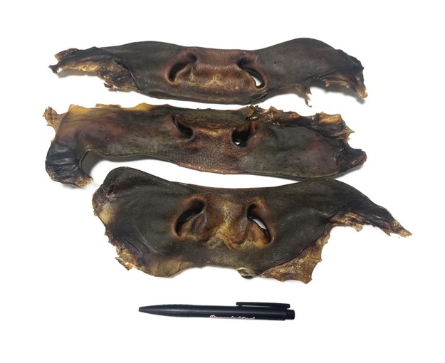 Runderneus