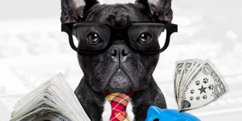 dogssavemoney