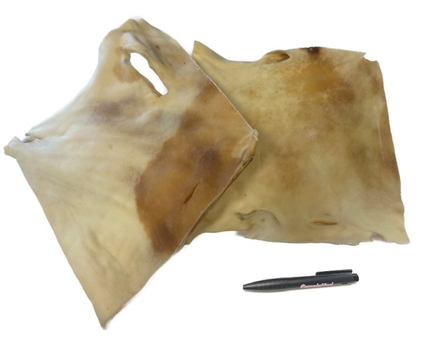KH plaat Blonde XL