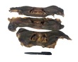 Runderneus