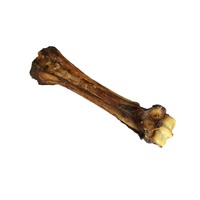 Paardenbot