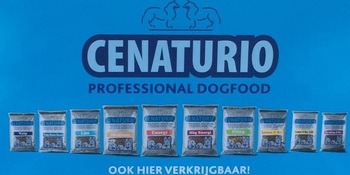 bannercenaturio
