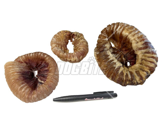 luchtpijp donut rund_DB