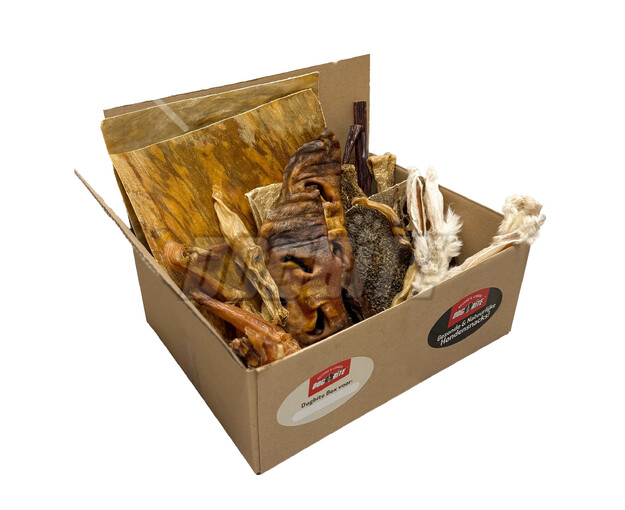 hondensnackbox