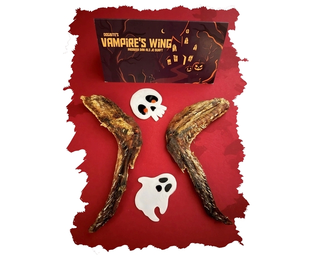vampire wing_inPixio