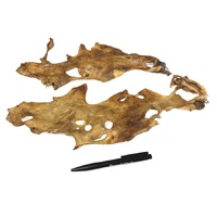 Lams kophuid platen_DB