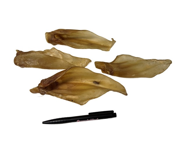 Runderoren met vlees klein_DB