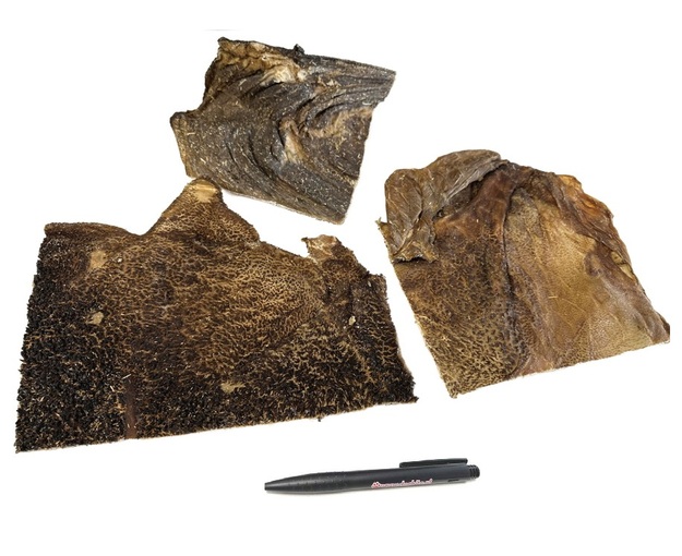 Geitenpens platen_DB