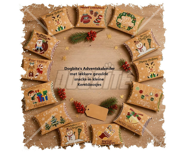 Advent snack kerstdoosjes_Dogbite