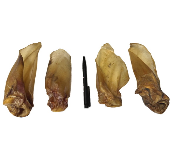 runderoren met vlees klein2_inPixio