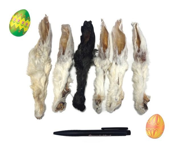 Konijnenoren-met-haar-DB4_PASEN