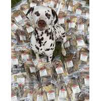 Puppy pakketjes Dalmatiers