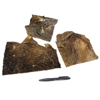 Geitenpens platen_DB