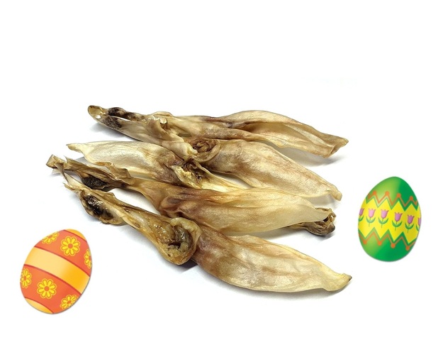 konijnenoren-DB_PASEN