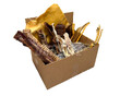 dogbite-hondensnackbox-100