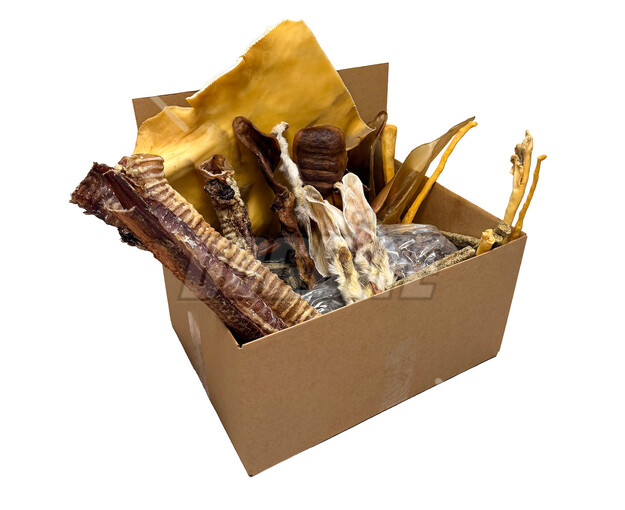 dogbite-hondensnackbox-100